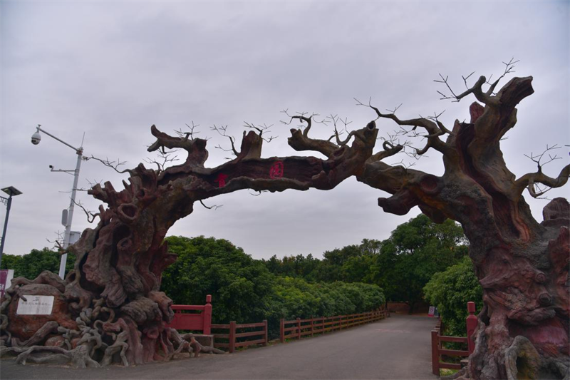 http://https://tyj.gd.gov.cn/tyxw_zyxw/content/图片7.png